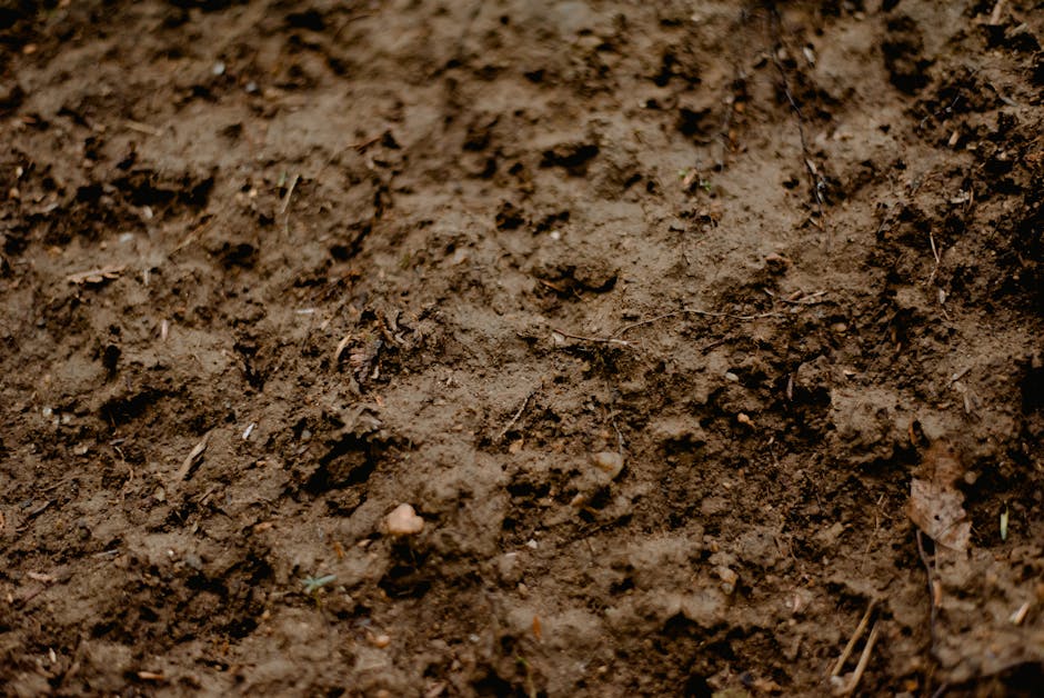 Full frame background of surface of brown wet dirty soil with small sticks